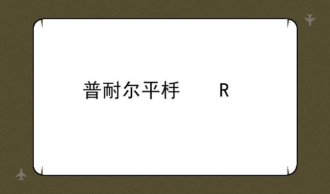 普耐尔平板电脑