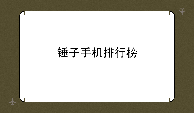 锤子手机排行榜