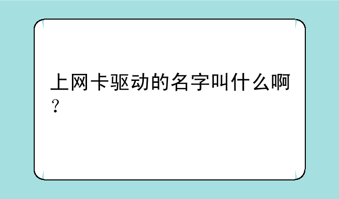 上网卡驱动的名字叫什么啊？