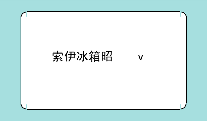 索伊冰箱是杂牌吗？