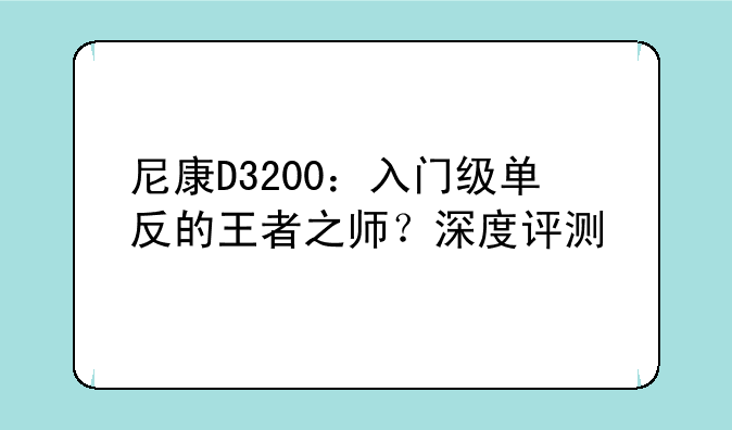 尼康D3200：入门级单反的王者之师？深度评测