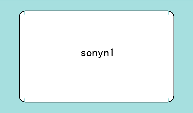 sonyn1