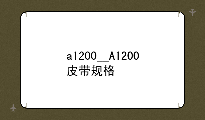 a1200__A1200皮带规格