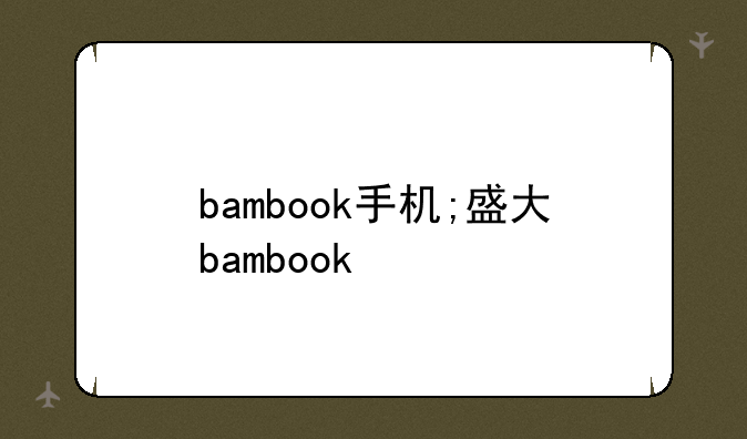 bambook手机;盛大bambook