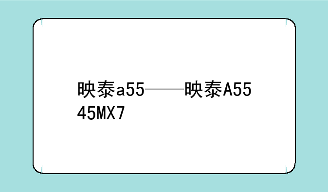 映泰a55——映泰A5545MX7