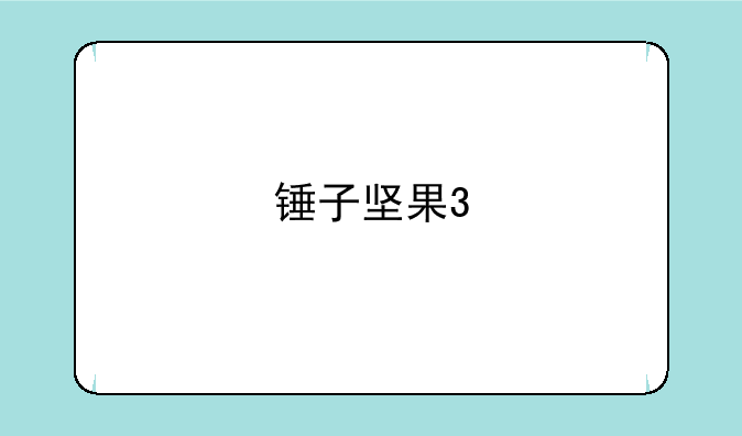 锤子坚果3