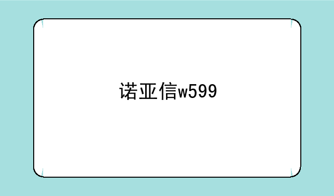 诺亚信w599