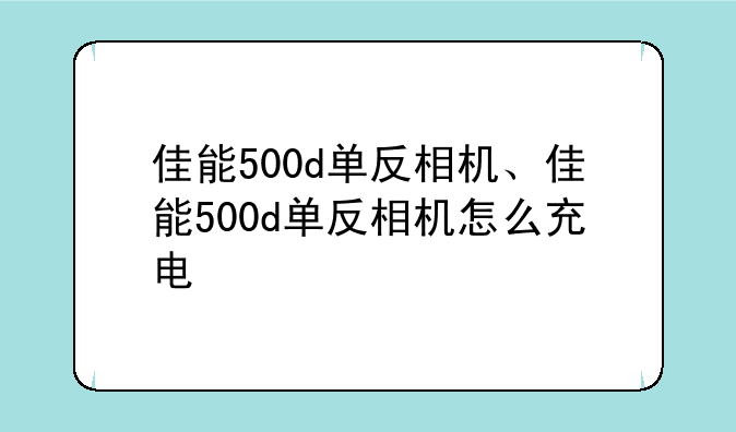 佳能500d单反相机、佳能500d单反相机怎么充电
