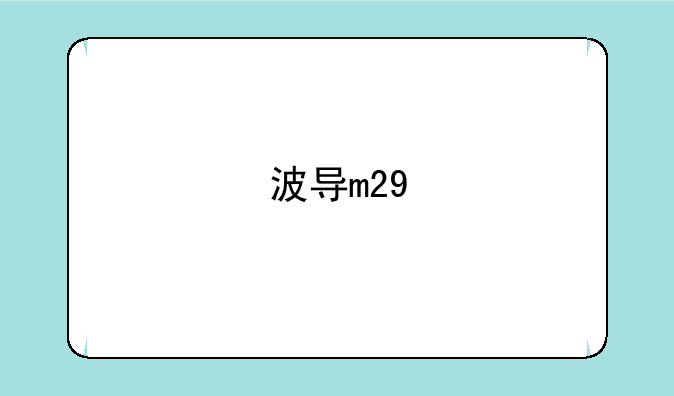 波导m29