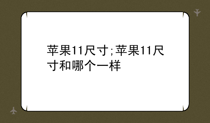苹果11尺寸;苹果11尺寸和哪个一样