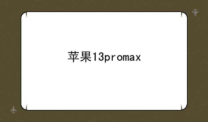 苹果13promax