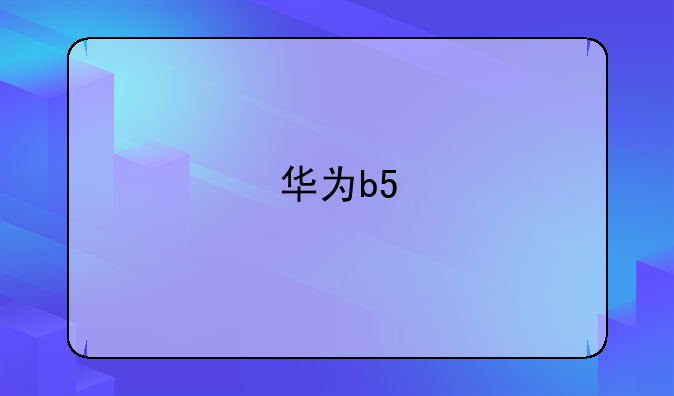 华为b5