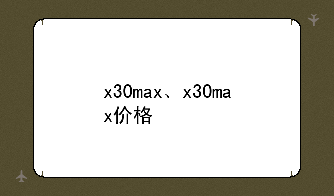 x30max、x30max价格